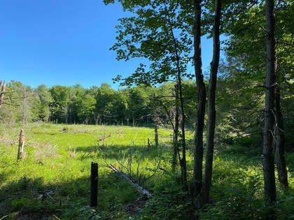 NY land for sale in Orwell NY state