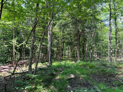 New Bremen Majka Lot 5 near syracuse ny image of Adirondack area land for sale
