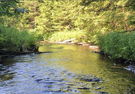 fishing land for sale in ny state from lakes ponds streams rivers and more