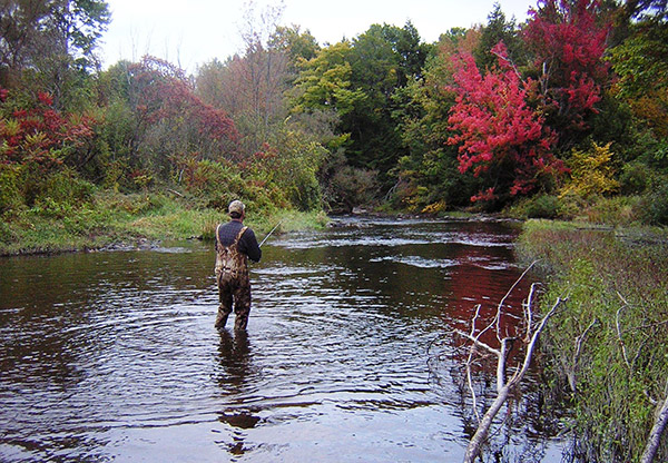 Fishing Land NY Hunting Pictures Fishing Pictures Man Fishing From Land And Camps