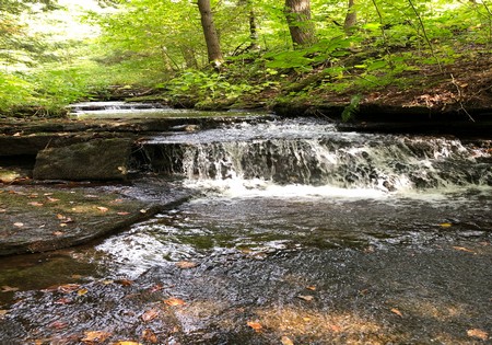 NY land for sale with town road power, florence New York