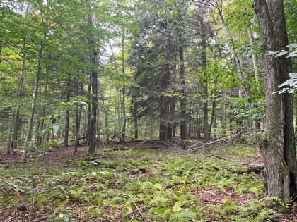 Oneida Lake NY cabin lot for sale