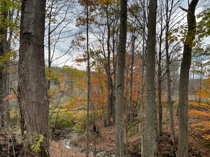 NY waterfront land for sale in Broome County NY