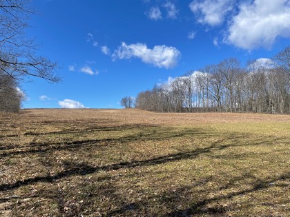 NY hunting land for sale in southern tier