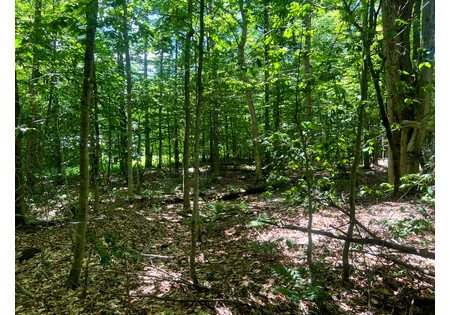 Land NY bordering state land for sale