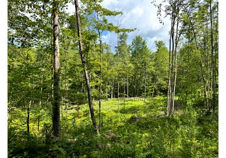NY hunting land for sale