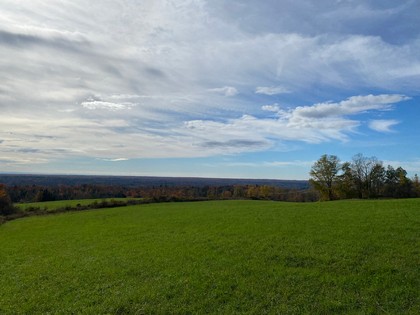 NY building lot for sale in Florence NY