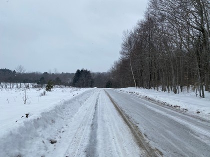 NY hunting land for sale Southern Tier NY 