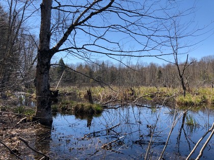 NY land for sale