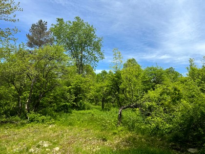 NY waterfront land for sale