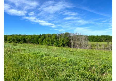 NY Southern Tier land for sale