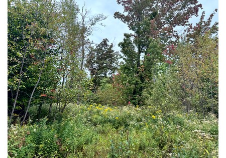 NY hunting land for sale