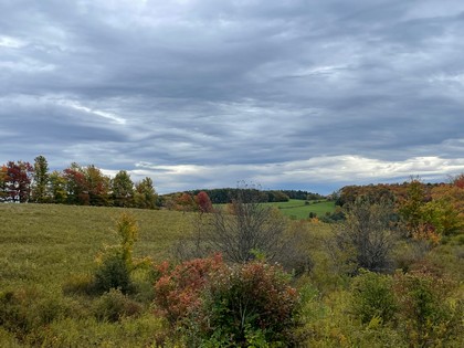 NY land for sale near Catskills