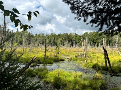 NY Adirondack land for sale
