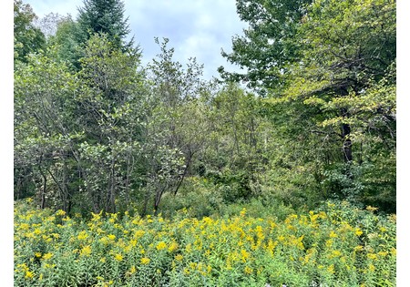 NY land for sale