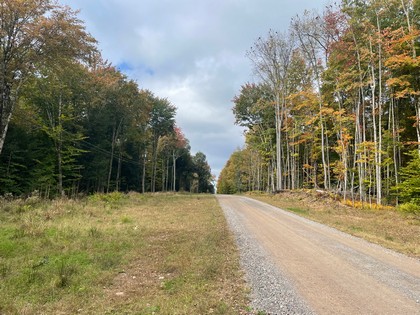 Oneida Lake Area - NY Land for Sale