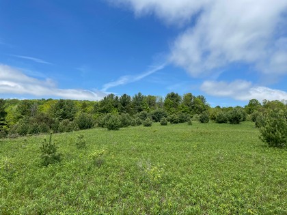 NY land for sale in Harford NY