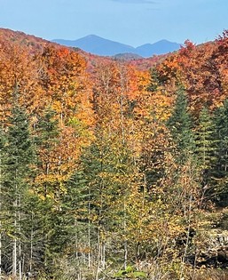 Adirondack land for sale