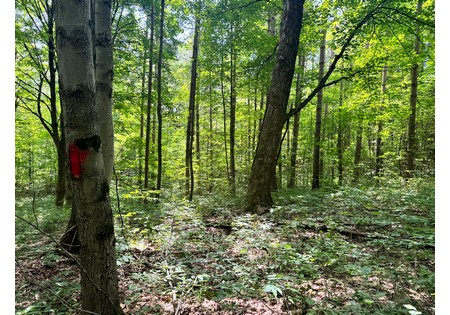 NY land for sale