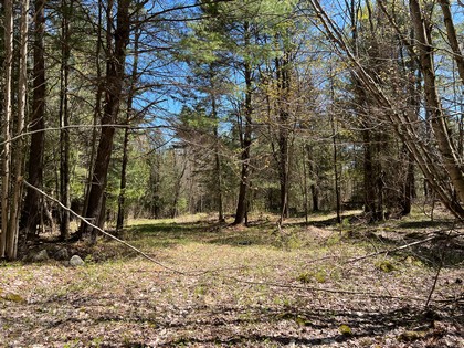 NY hunting land for sale Diana NY