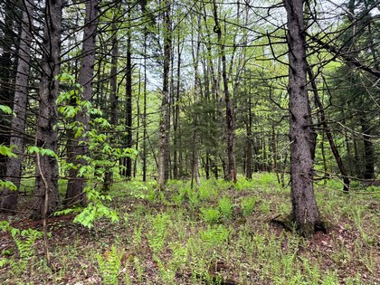 NY land for sale Tug Hill