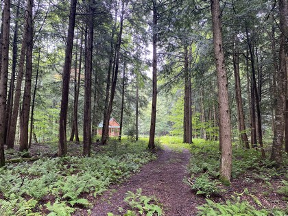 Adirondack camp for sale, cabins, land and camps, ny properties, ny camps sale, Adirondack camps for sale, christmas associates