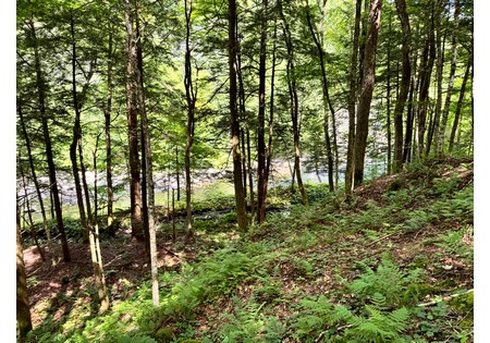 NY land for sale