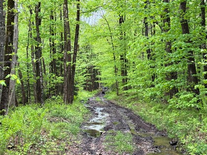 NY land for sale Tug Hill