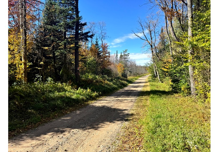 Tug Hill NY land for sale
