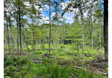 NY hunting land for sale