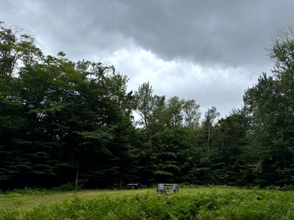 Tug Hill NY land for sale