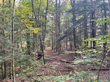 NY property for sale near Oneida Lake