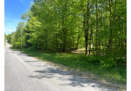 Upstate NY Land for sale 