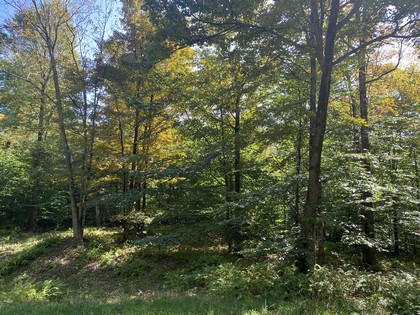 NY land for sale near Oneida Lake