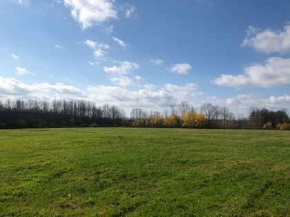 NY land for sale in Pharsalia NY