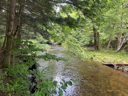 NY waterfront land for sale, land and camps, ny waterfront properties, ny lakefront land, christmas 