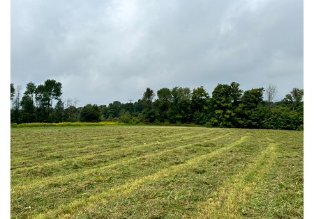 Finger Lakes NY area land for sale