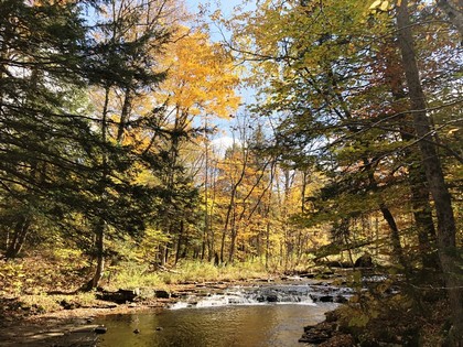 NY camp for sale Osceola, NY