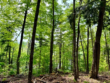 Adirondack waterfront land for sale NY