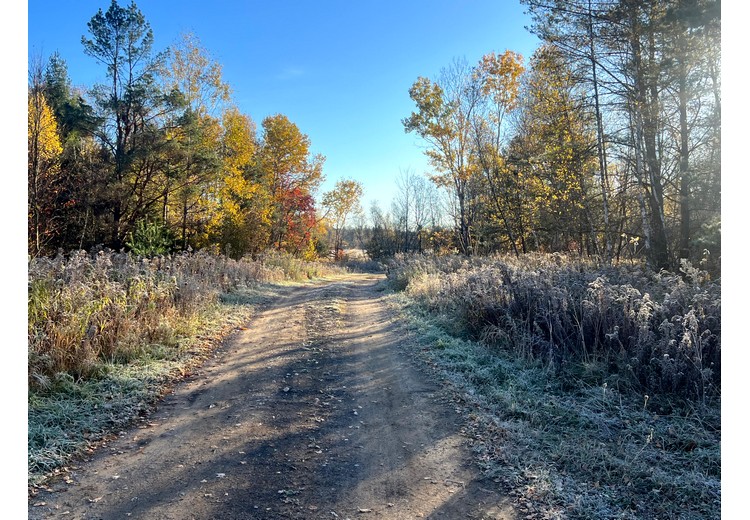 NY cabins for sale