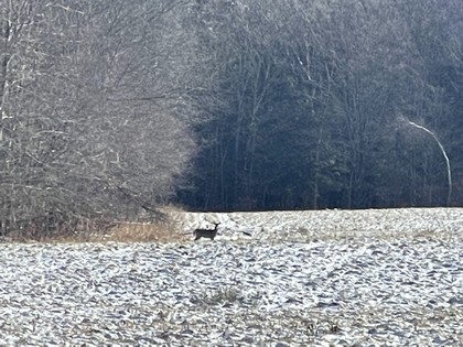 land for sale central NY