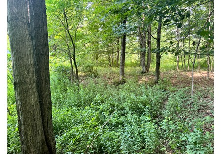 Salmon River NY building site