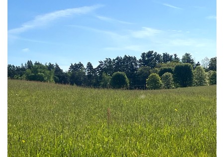 NY Southern Tier land for sale