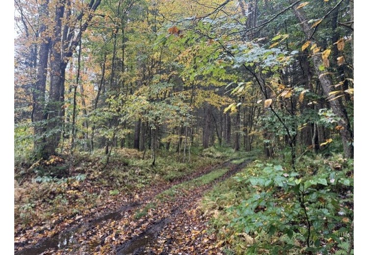 Tug Hill NY land for sale