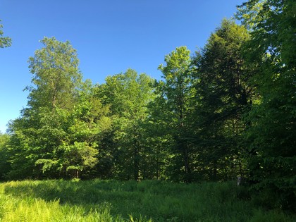 NY hunting land for sale