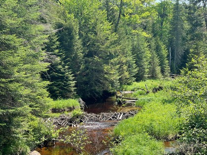 Adirondack NY land for sale