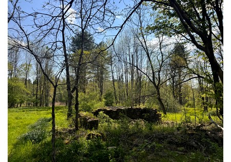 NY land for sale in Tug Hill area