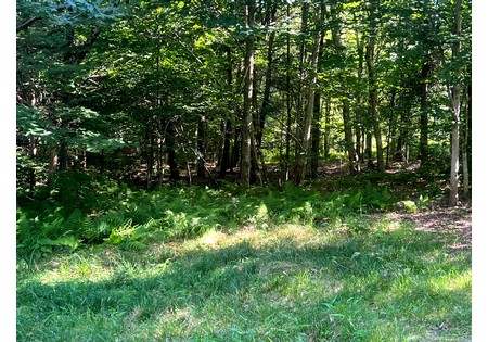 NY hunting land for sale