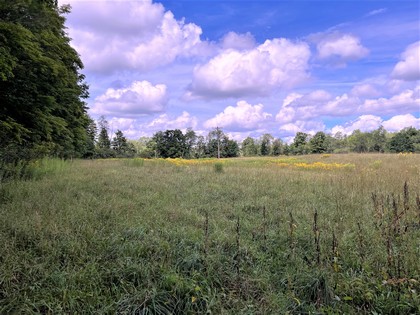 NY waterfront land for sale, land and camps, ny waterfront properties, ny lakefront land, christmas 