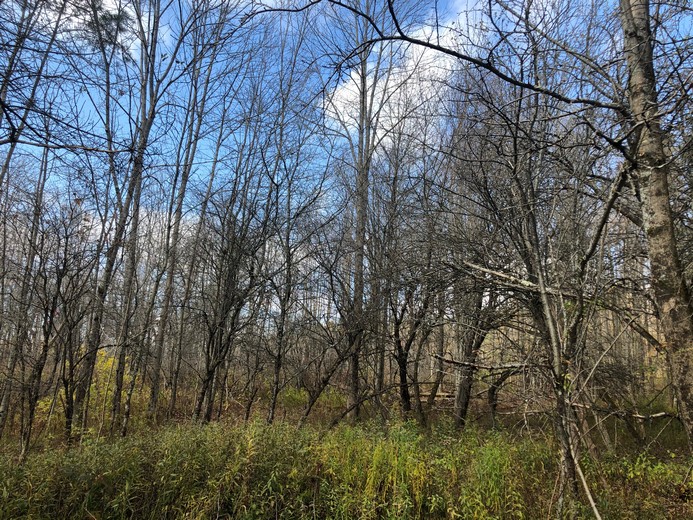 New York Land For Sale Hunting Lands, Waterfront Land Land and